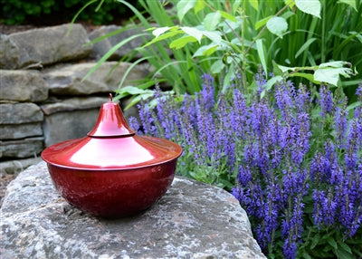 8" Torch - Cranberry