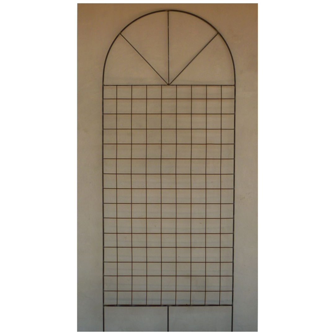 Large Trellis