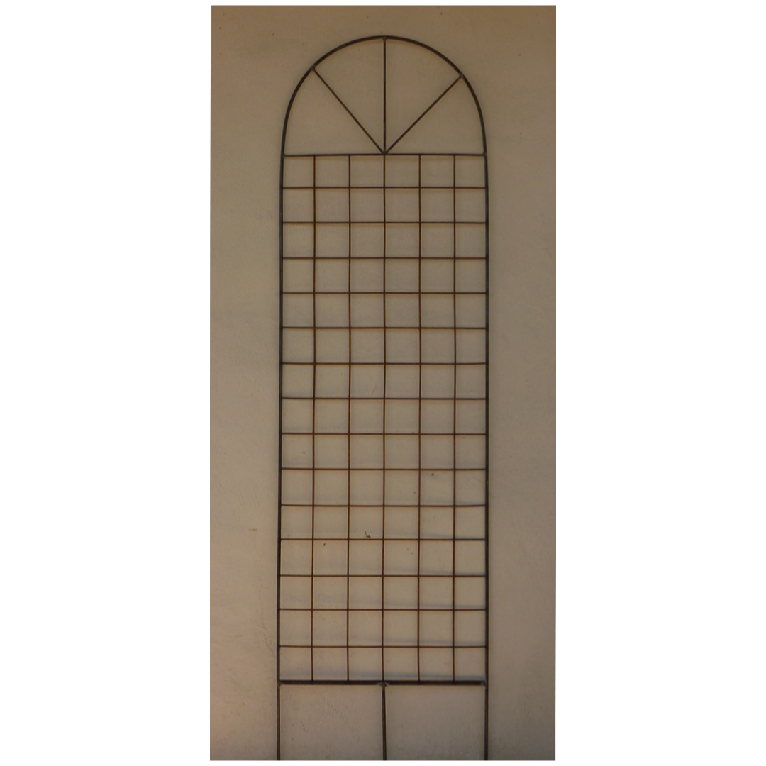 Medium Trellis