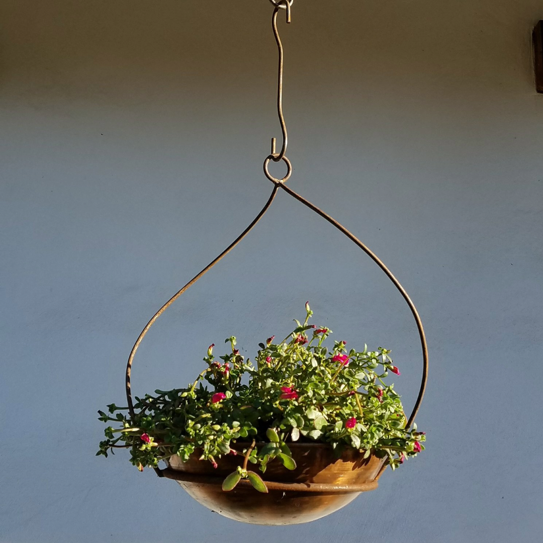 Twisted Hanging Pot Holder - 10"